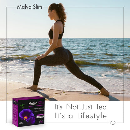 תה דיטוקס Malva Slim מארז 30 תיונים