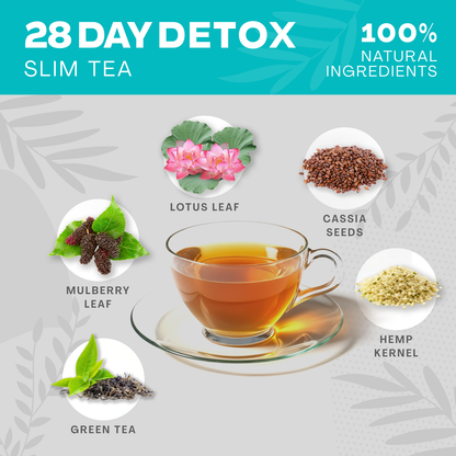 Slim Tea Tox – תה דטוקס אורגני ל־28 יום להרזיה וחילוף חומרים – רכיבים